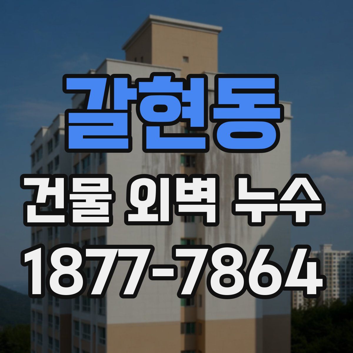 갈현동 건물 외벽 누수
