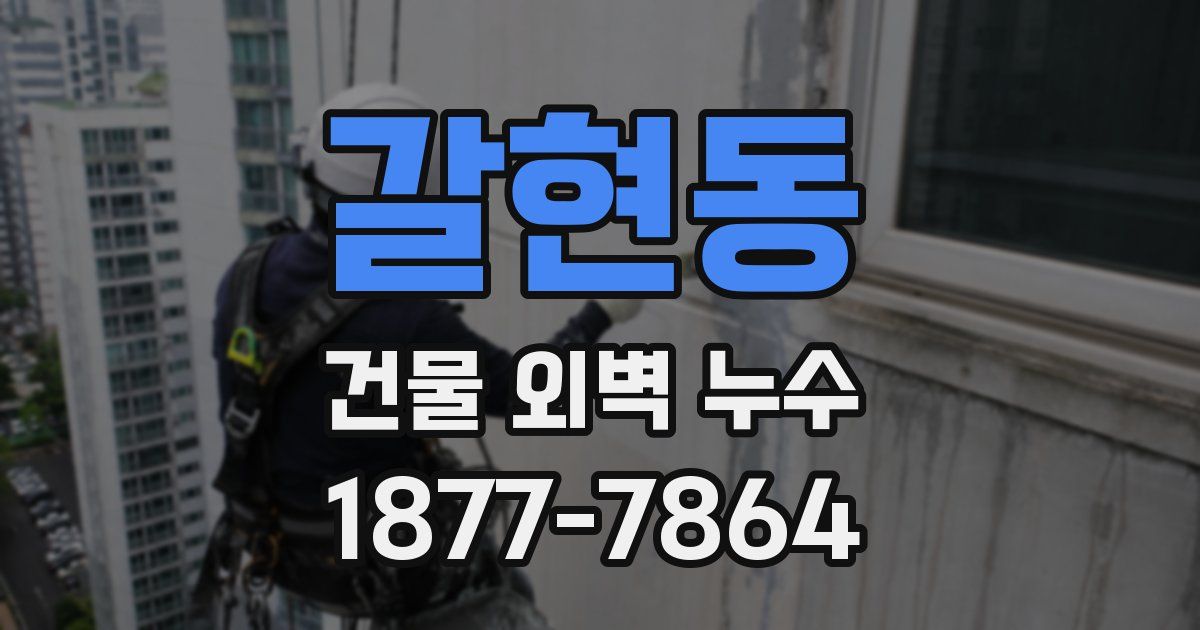 갈현동 건물 외벽 누수