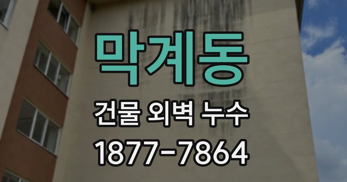 막계동 건물 외벽 누수