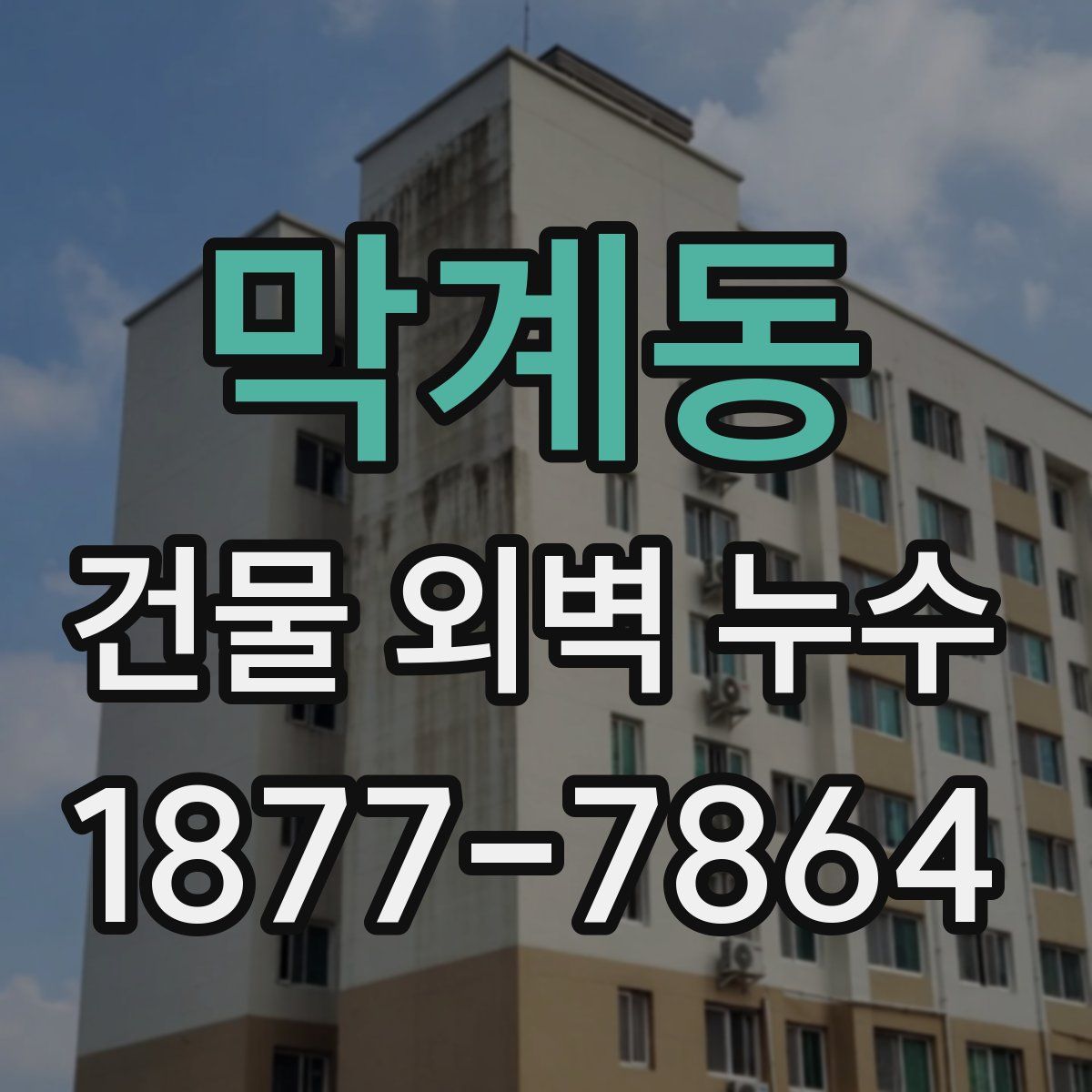 막계동 건물 외벽 누수