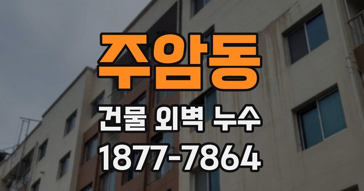 주암동 건물 외벽 누수