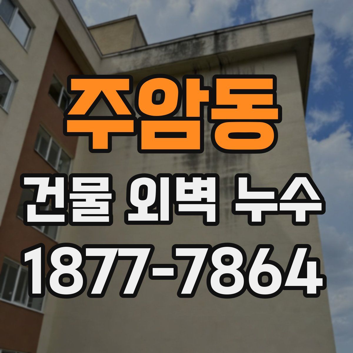 주암동 건물 외벽 누수