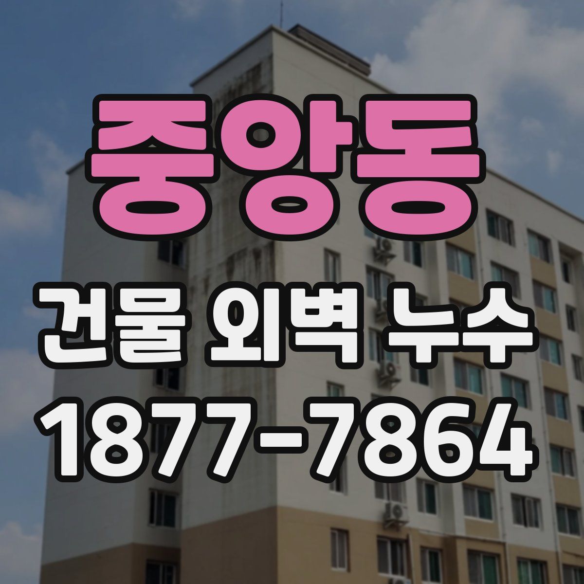 중앙동 건물 외벽 누수
