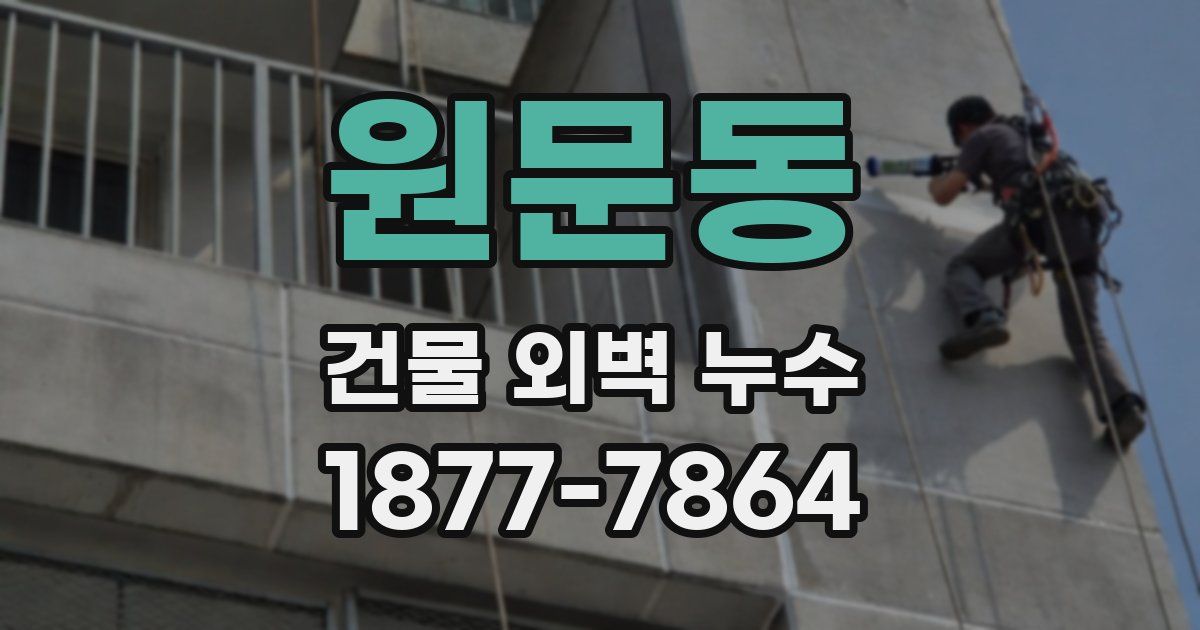 원문동 건물 외벽 누수
