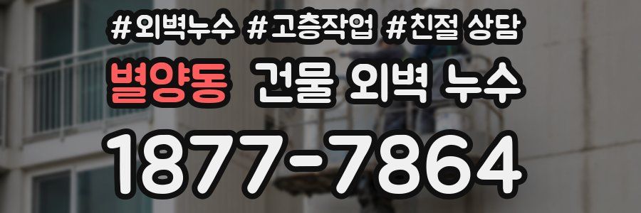 별양동 건물 외벽 누수