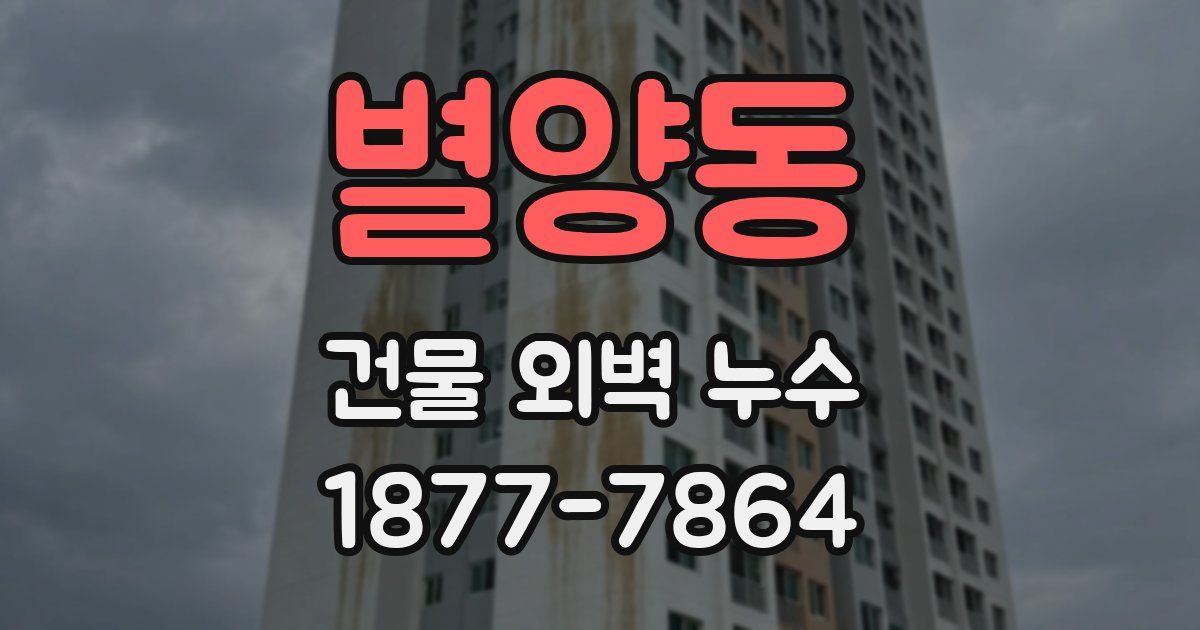 별양동 건물 외벽 누수