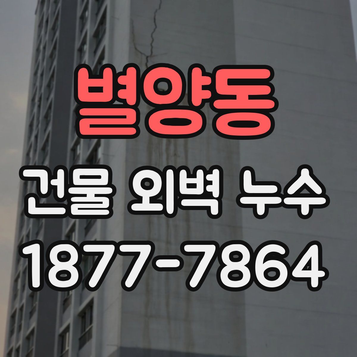 별양동 건물 외벽 누수