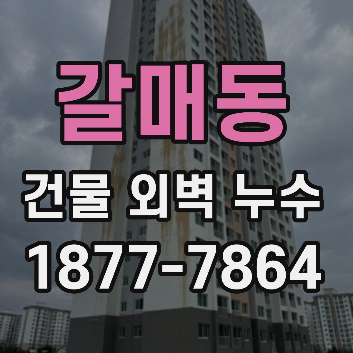갈매동 건물 외벽 누수