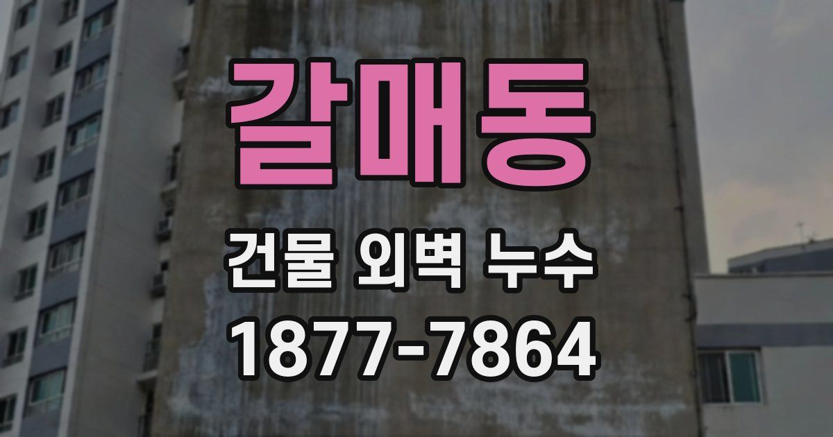갈매동 건물 외벽 누수
