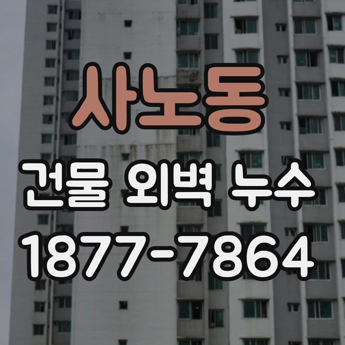 사노동 건물 외벽 누수