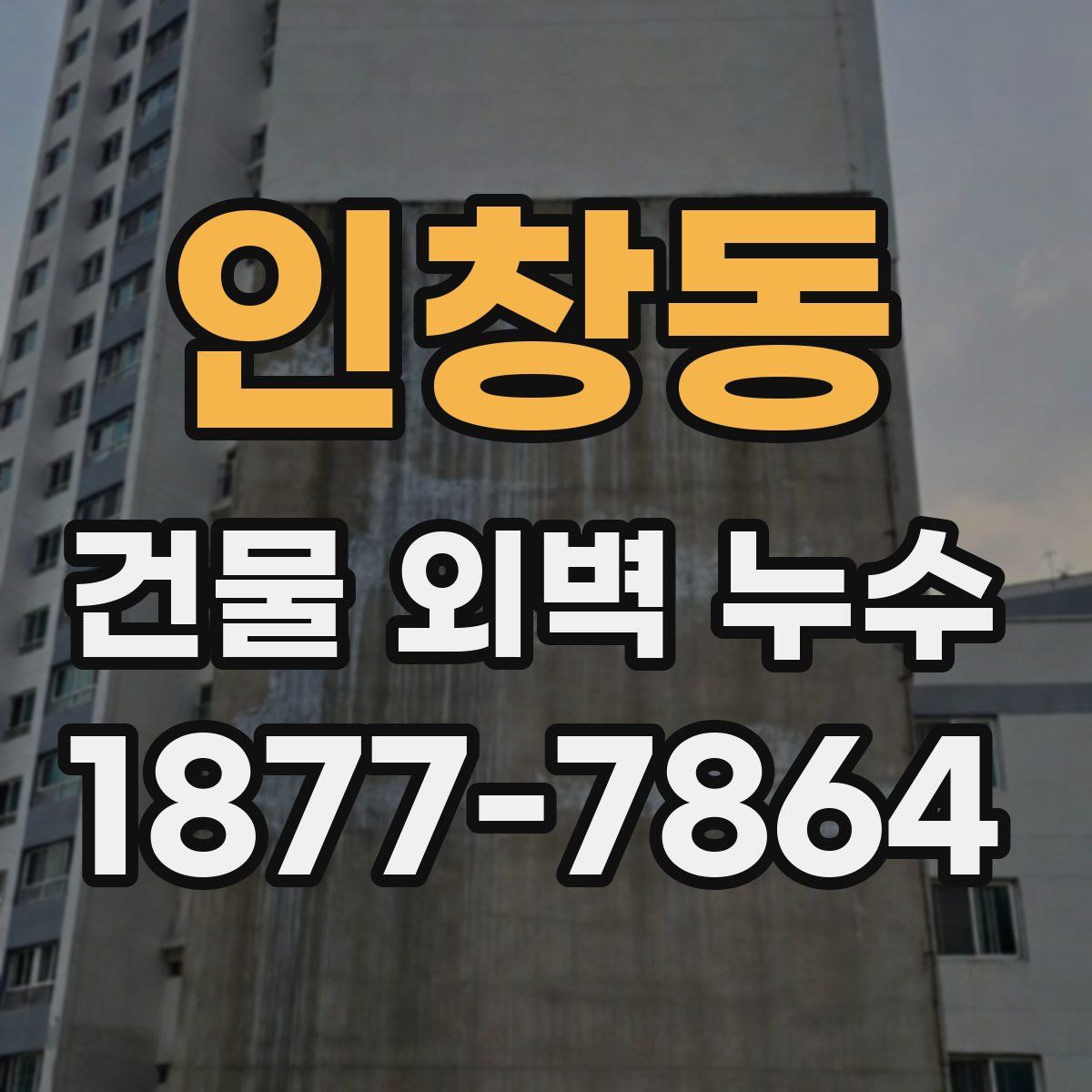 인창동 건물 외벽 누수