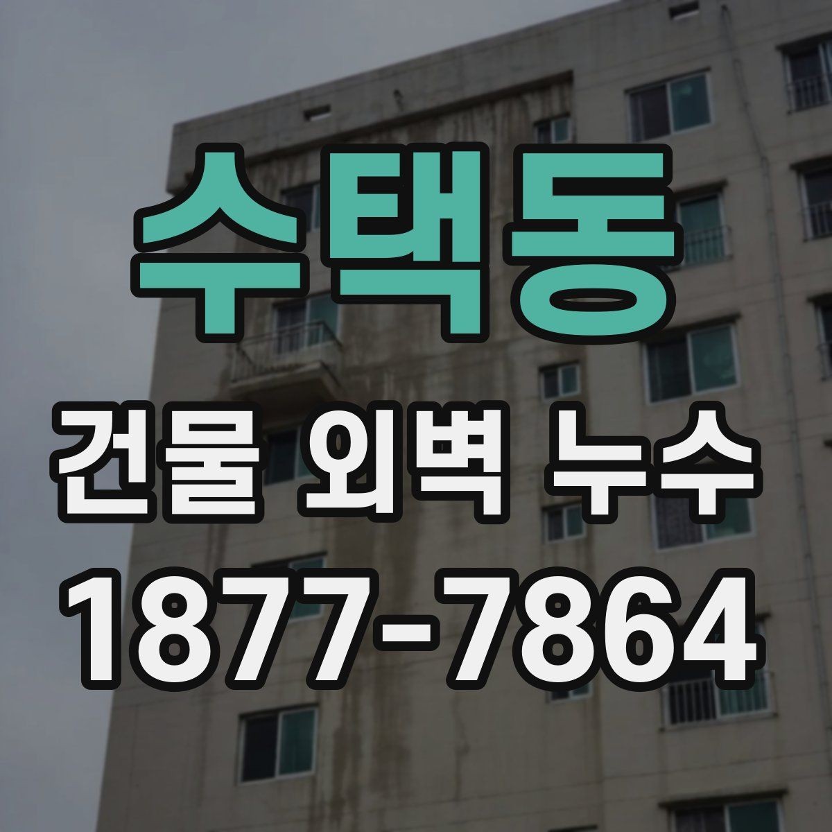 수택동 건물 외벽 누수 발생 원인별 사례 정리