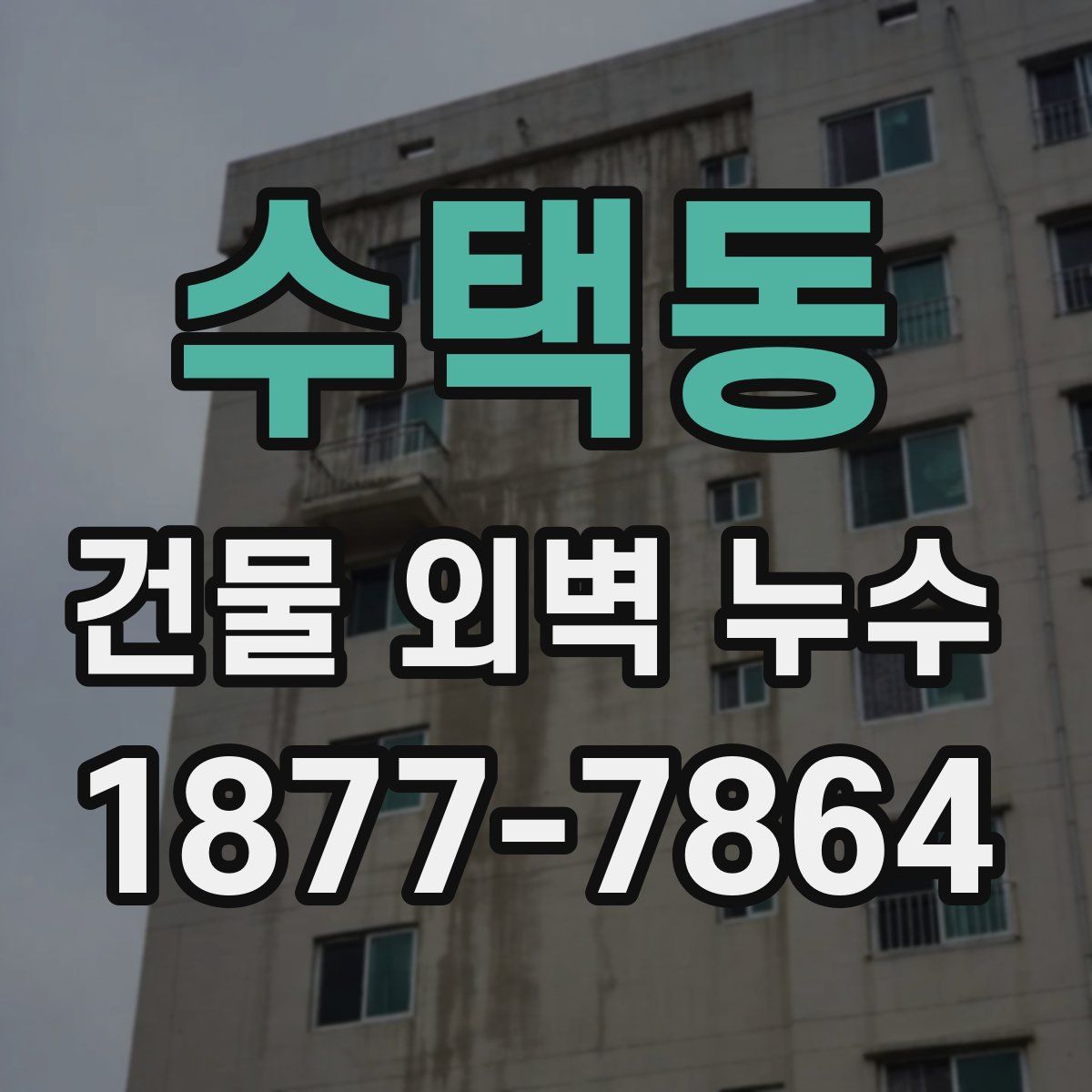 수택동 건물 외벽 누수
