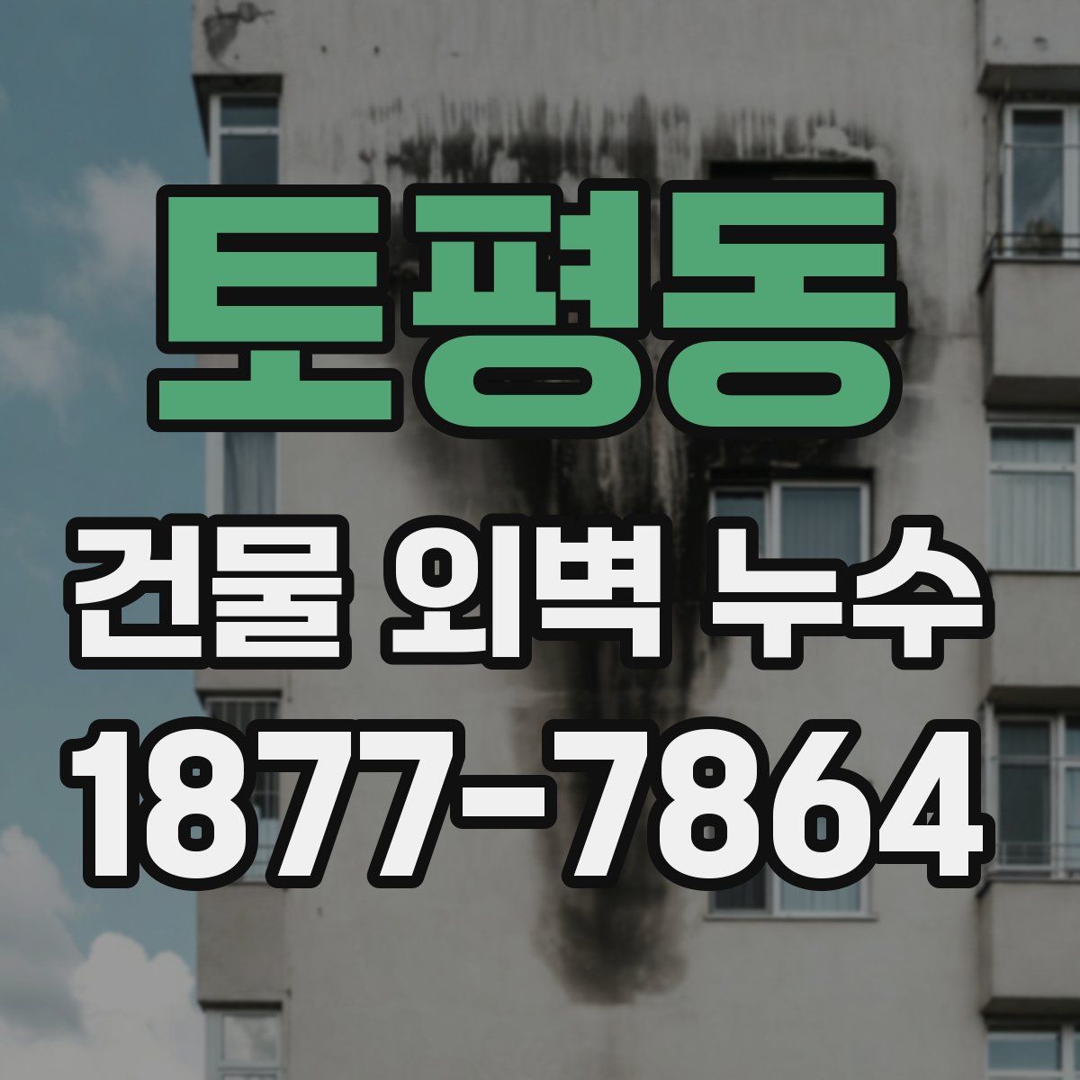 토평동 건물 외벽 누수