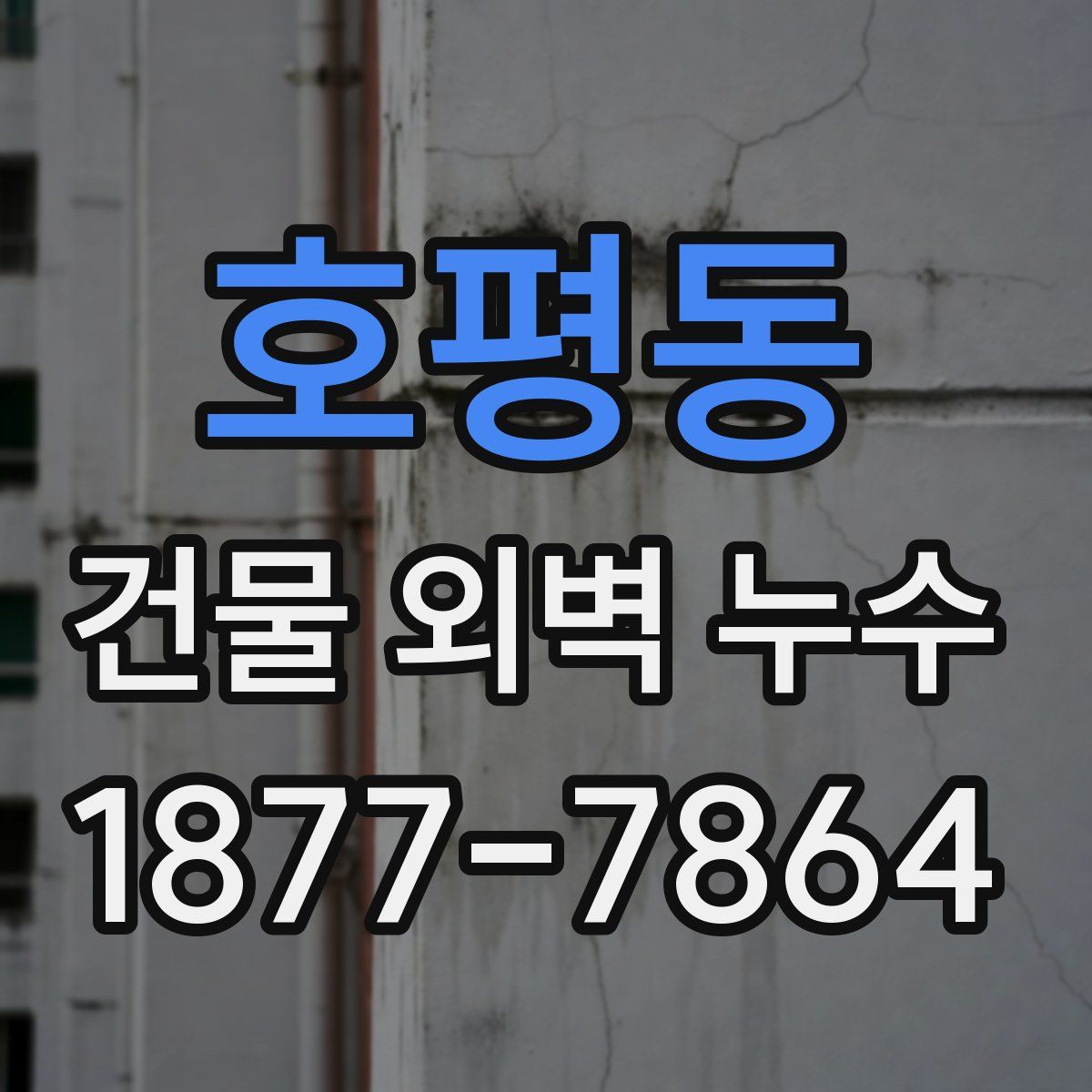 호평동 건물 외벽 누수