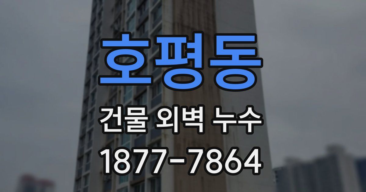 호평동 건물 외벽 누수