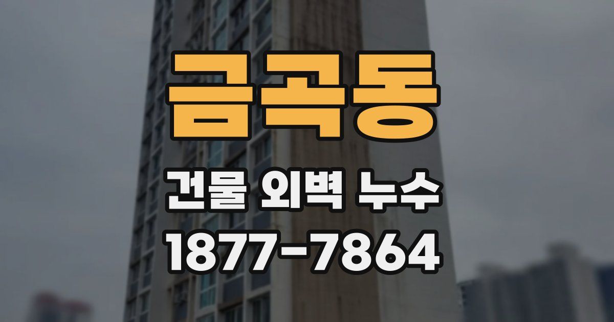 금곡동 건물 외벽 누수