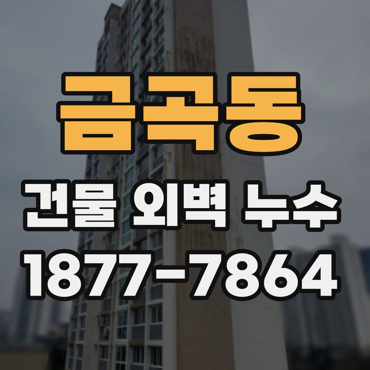 금곡동 건물 외벽 누수