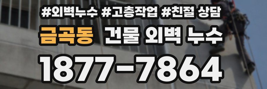 금곡동 건물 외벽 누수