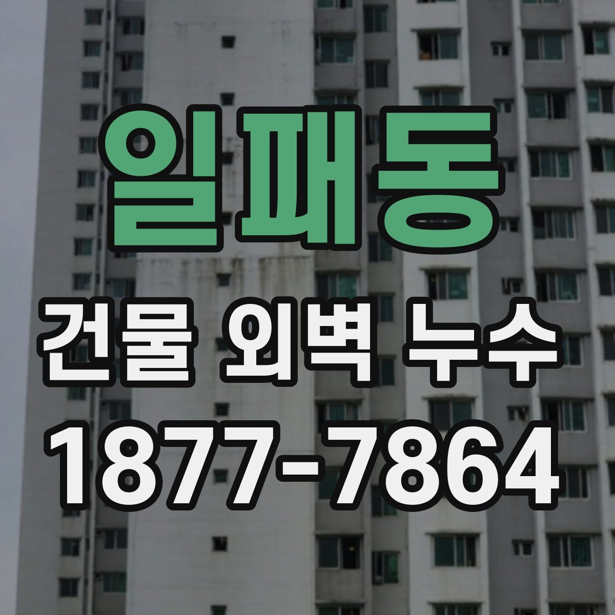 일패동 건물 외벽 누수