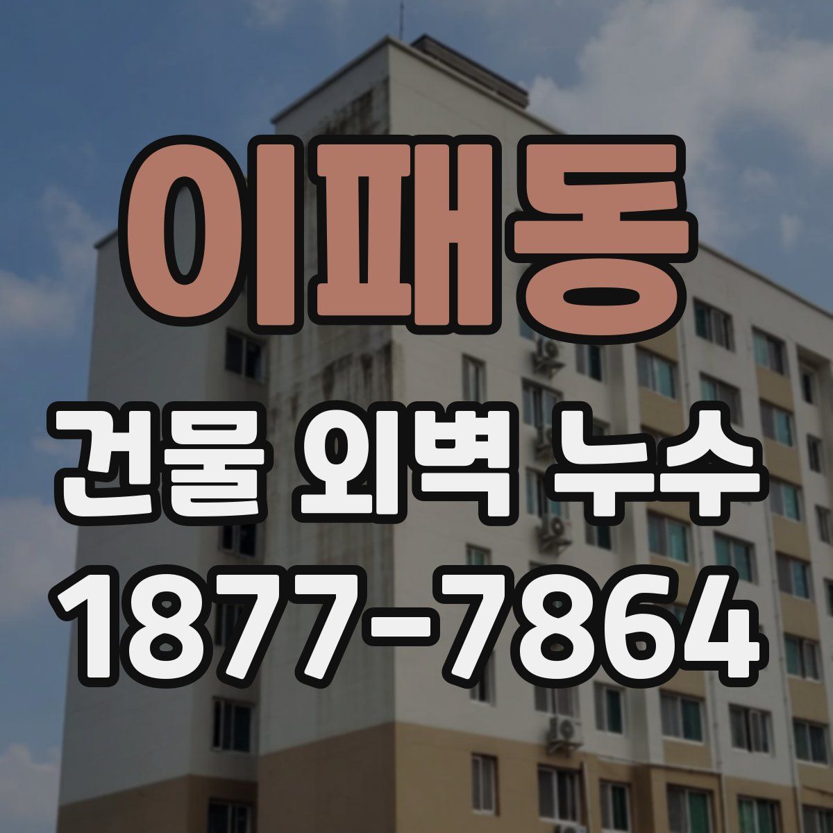 이패동 건물 외벽 누수