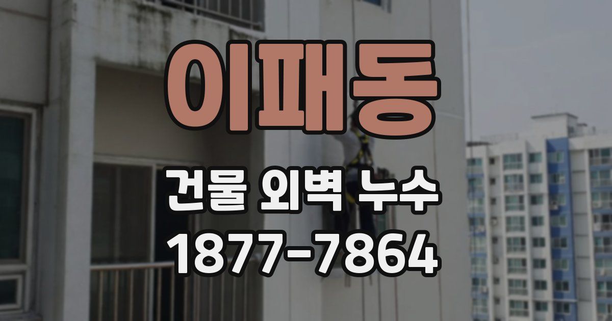 이패동 건물 외벽 누수