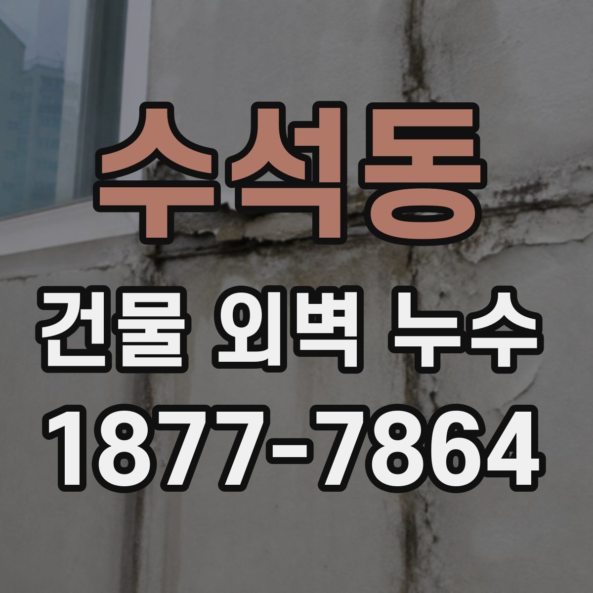 수석동 건물 외벽 누수