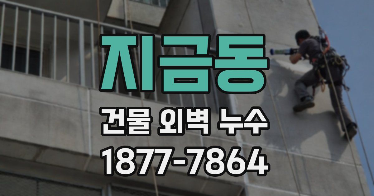 지금동 건물 외벽 누수