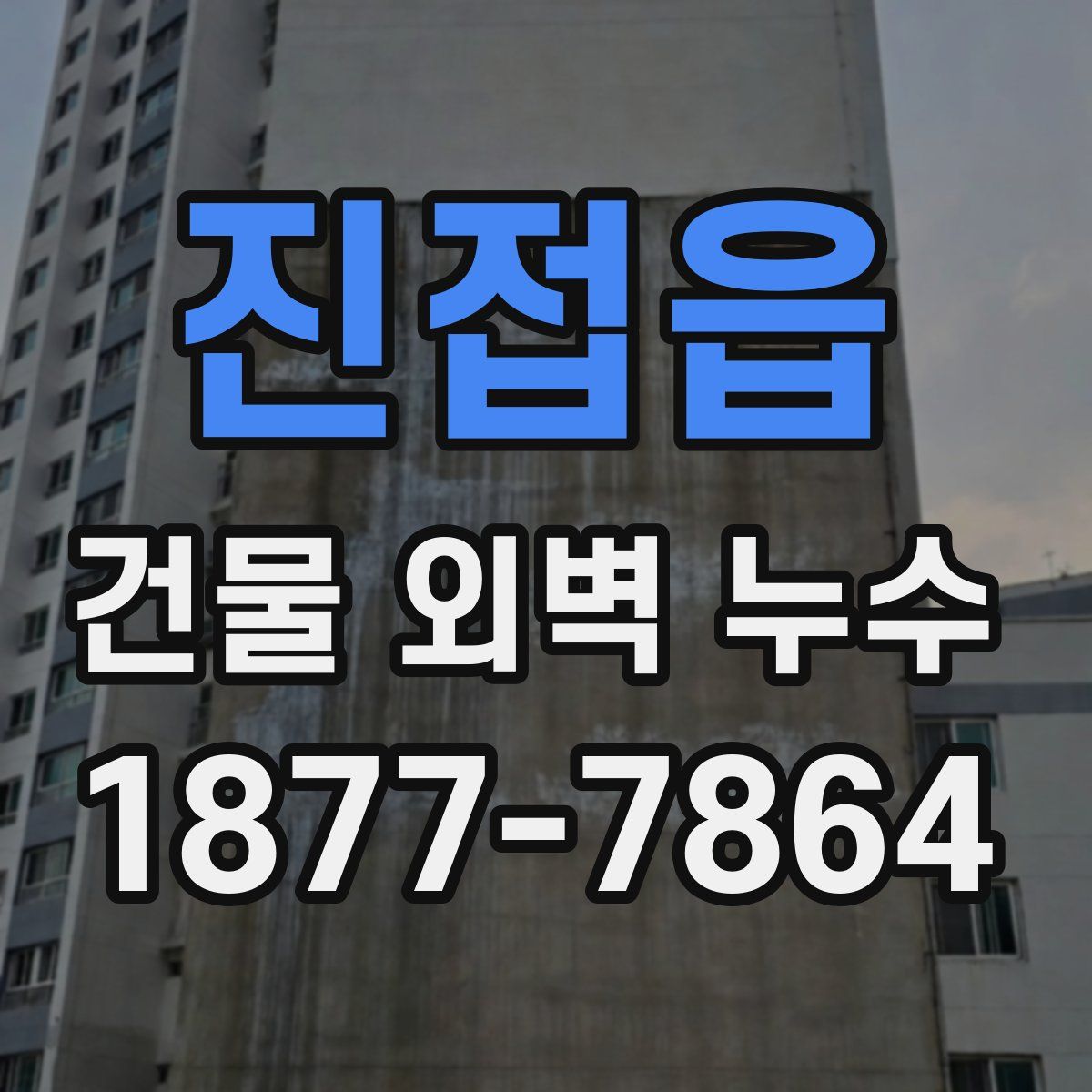진접읍 건물 외벽 누수