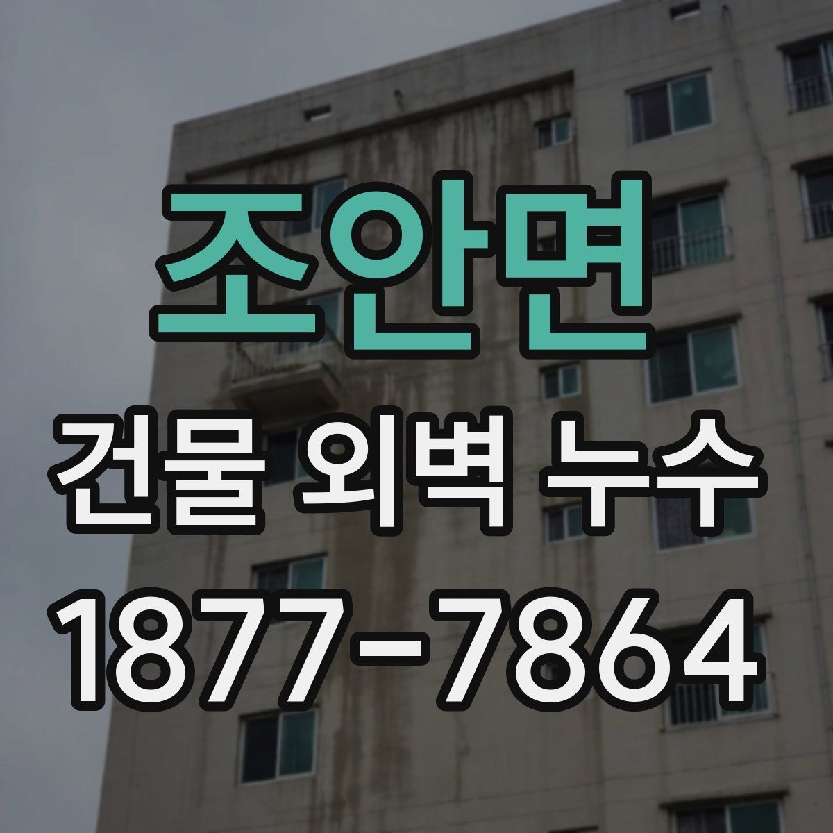 조안면 건물 외벽 누수