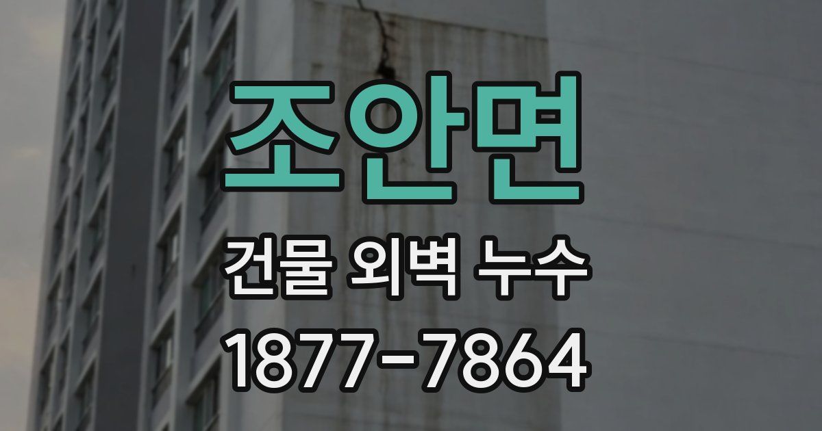 조안면 건물 외벽 누수
