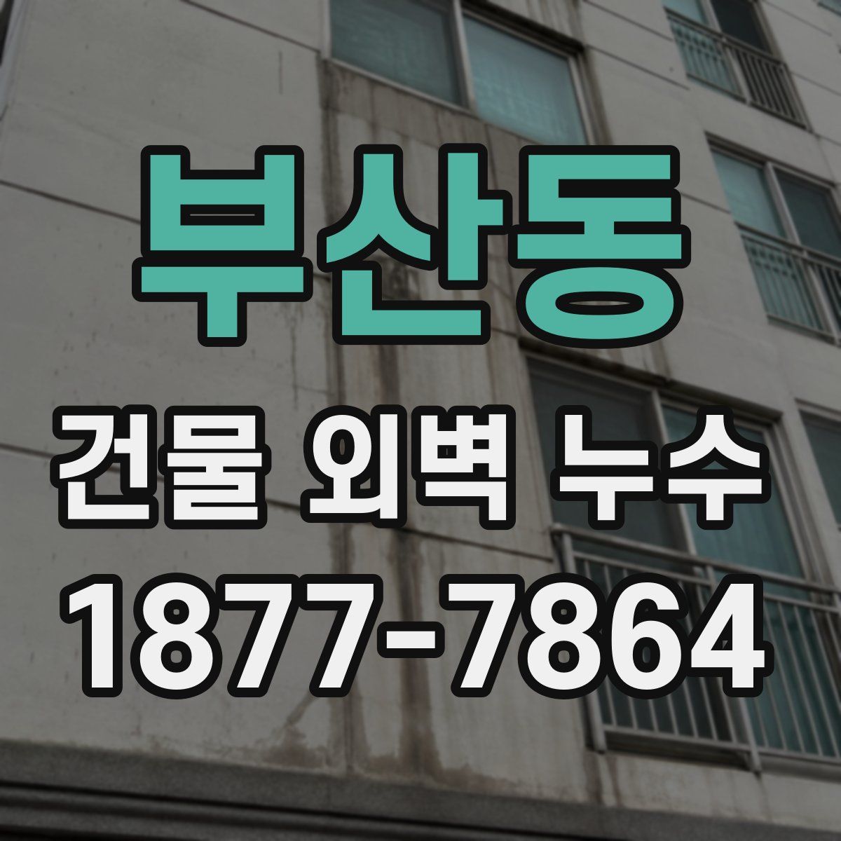 부산동 건물 외벽 누수