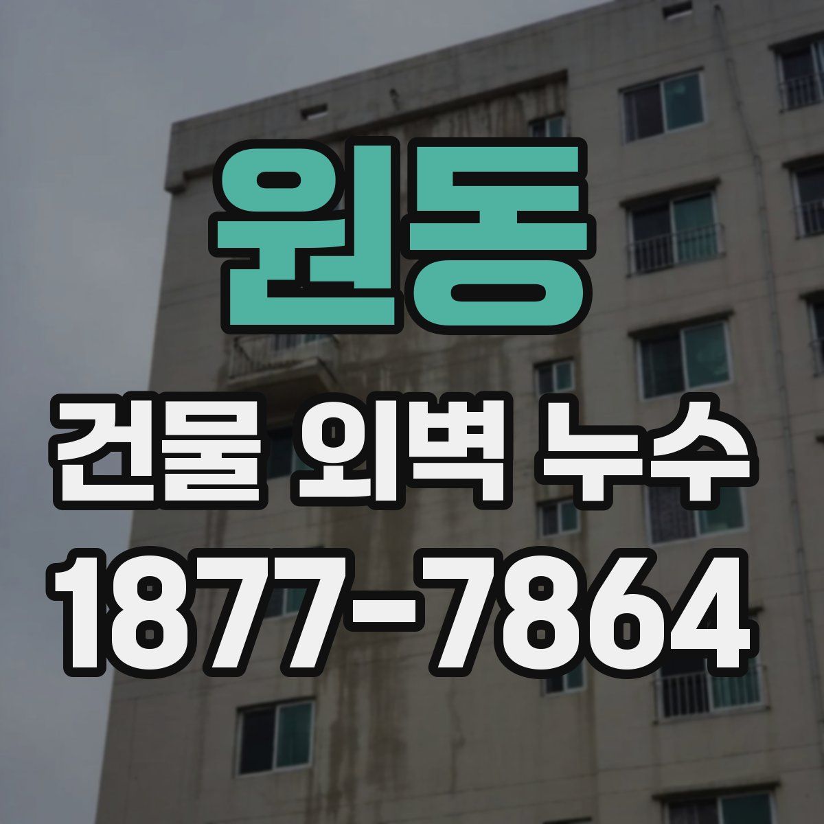 원동 건물 외벽 누수
