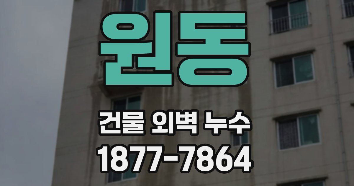 원동 건물 외벽 누수