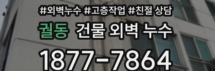 궐동 건물 외벽 누수