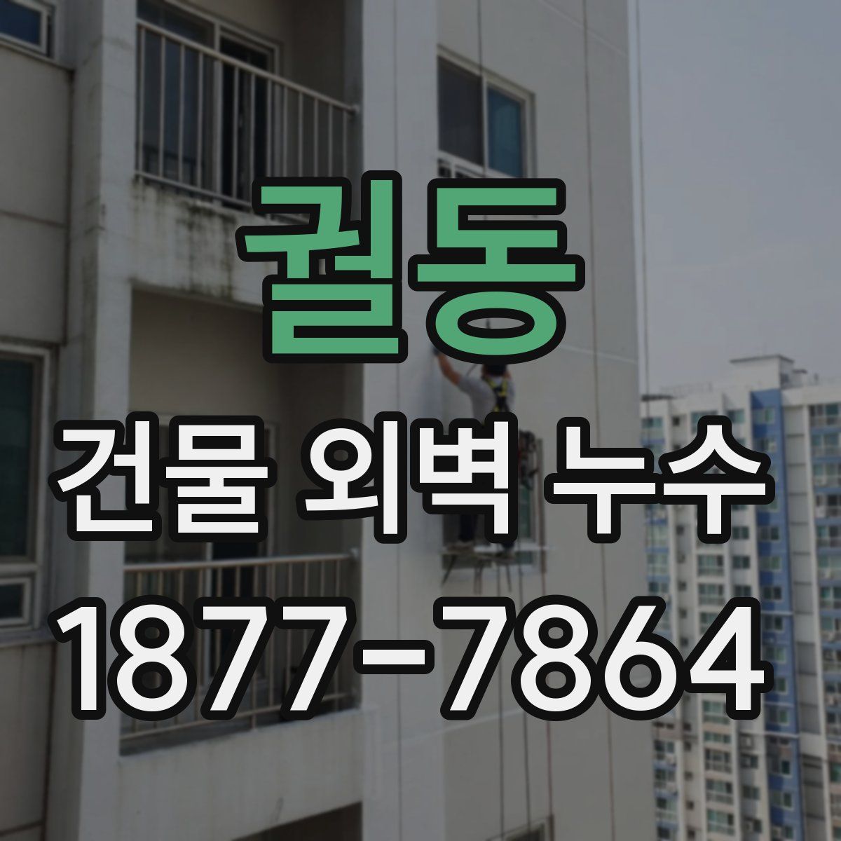 궐동 건물 외벽 누수