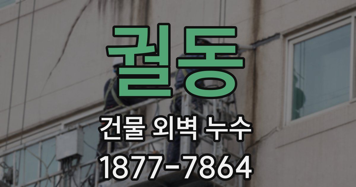 궐동 건물 외벽 누수