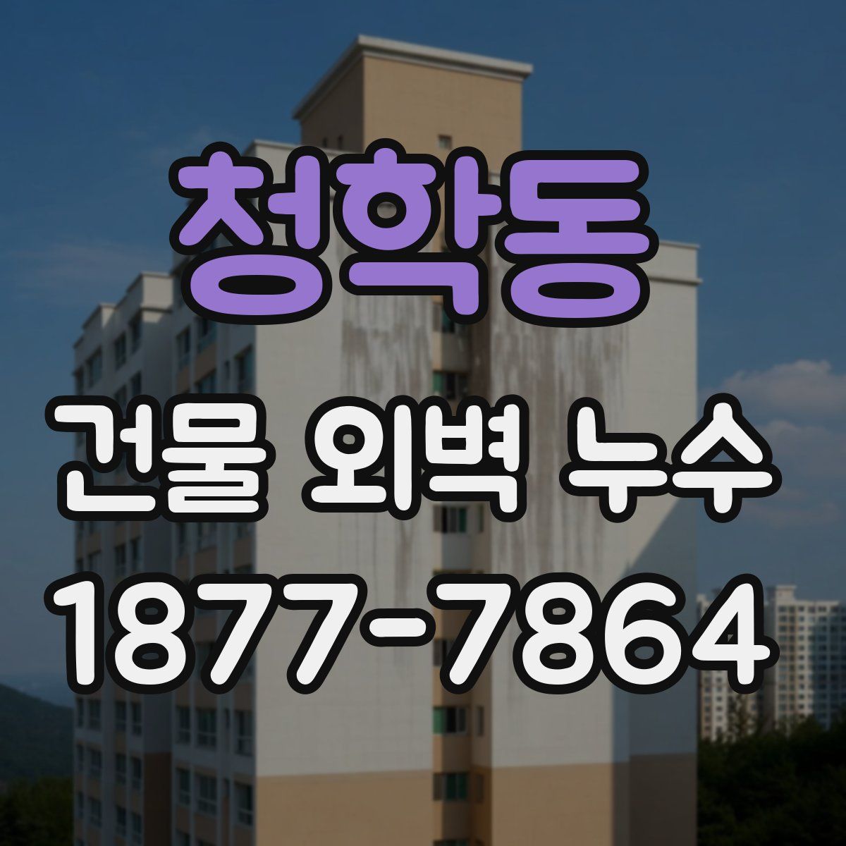 청학동 건물 외벽 누수