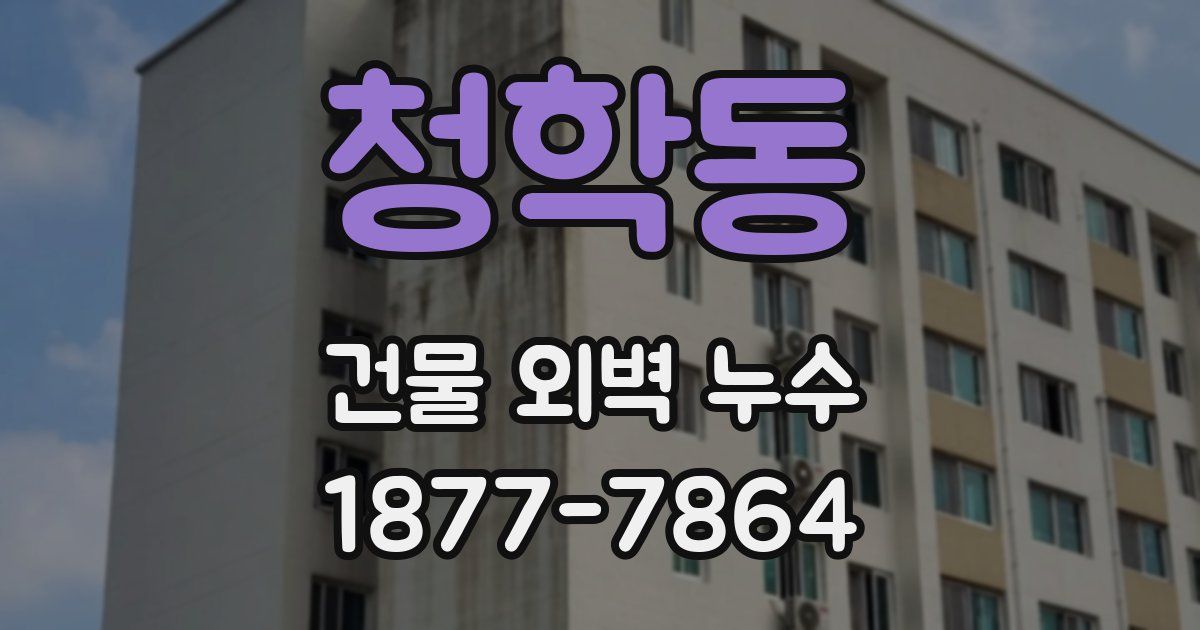 청학동 건물 외벽 누수