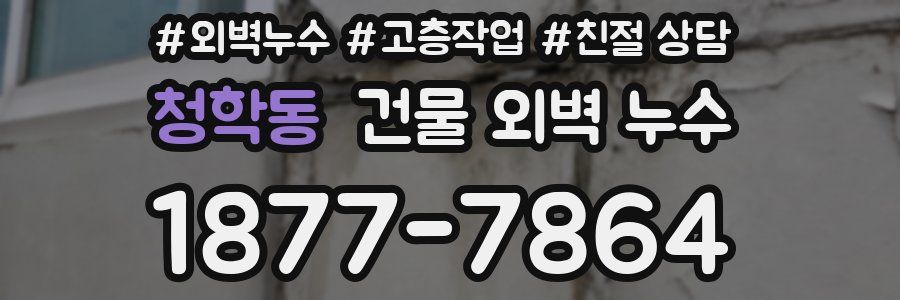 청학동 건물 외벽 누수