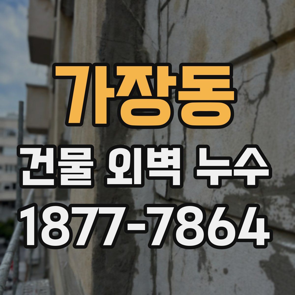 가장동 건물 외벽 누수