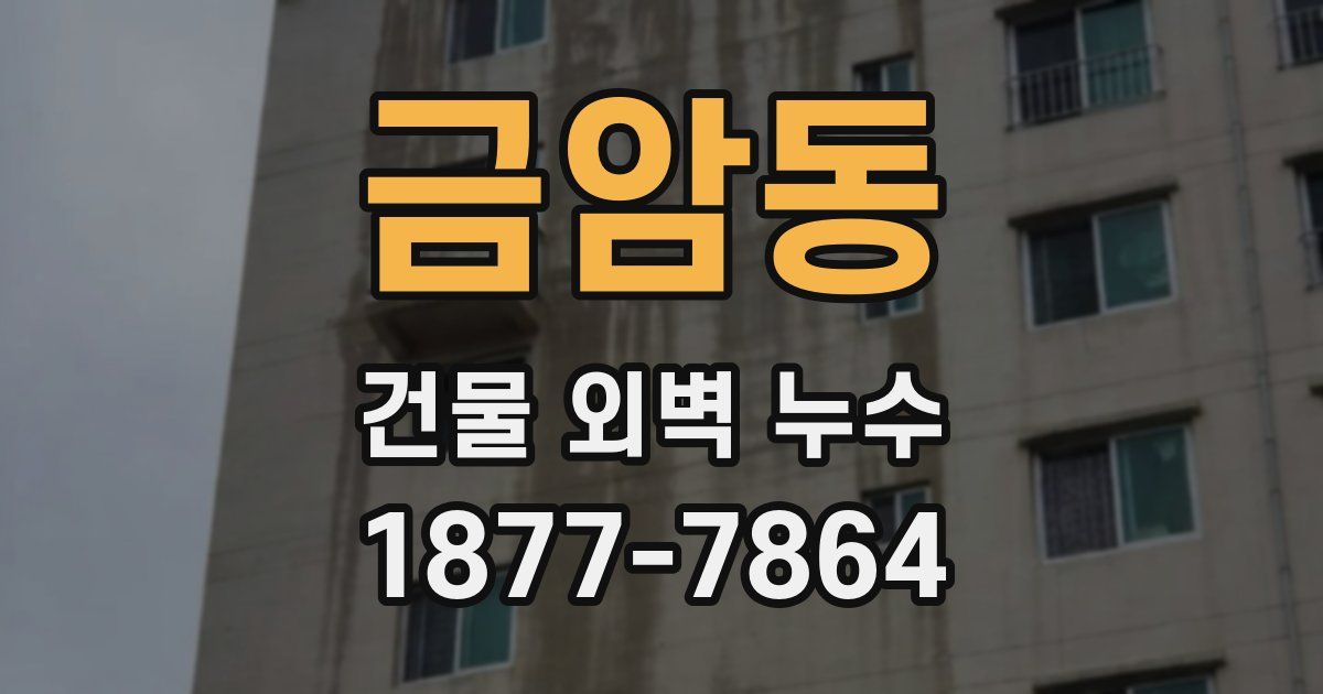 금암동 건물 외벽 누수
