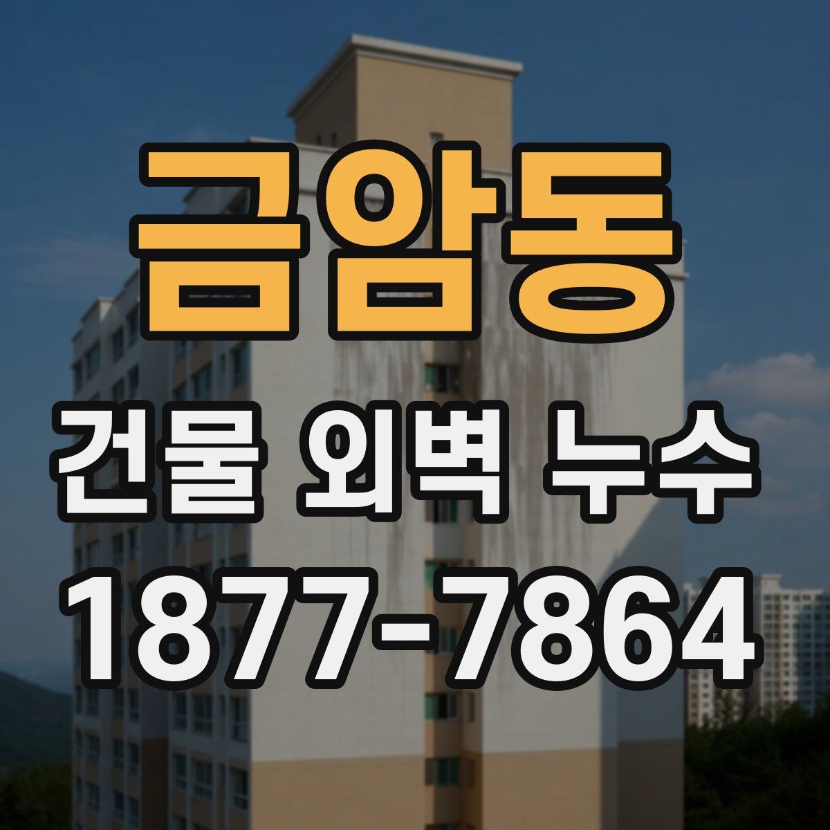 금암동 건물 외벽 누수