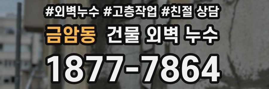 금암동 건물 외벽 누수