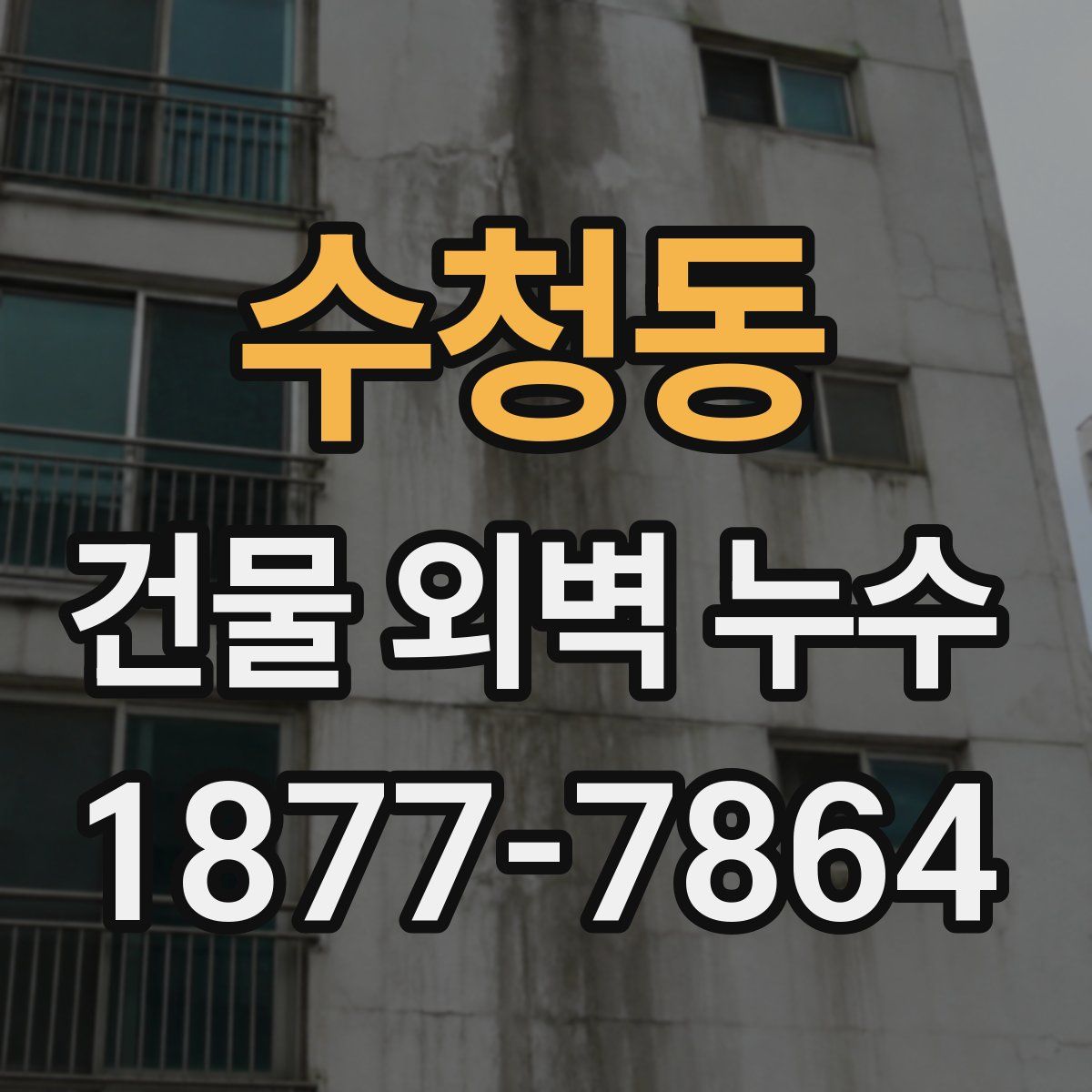 수청동 건물 외벽 누수