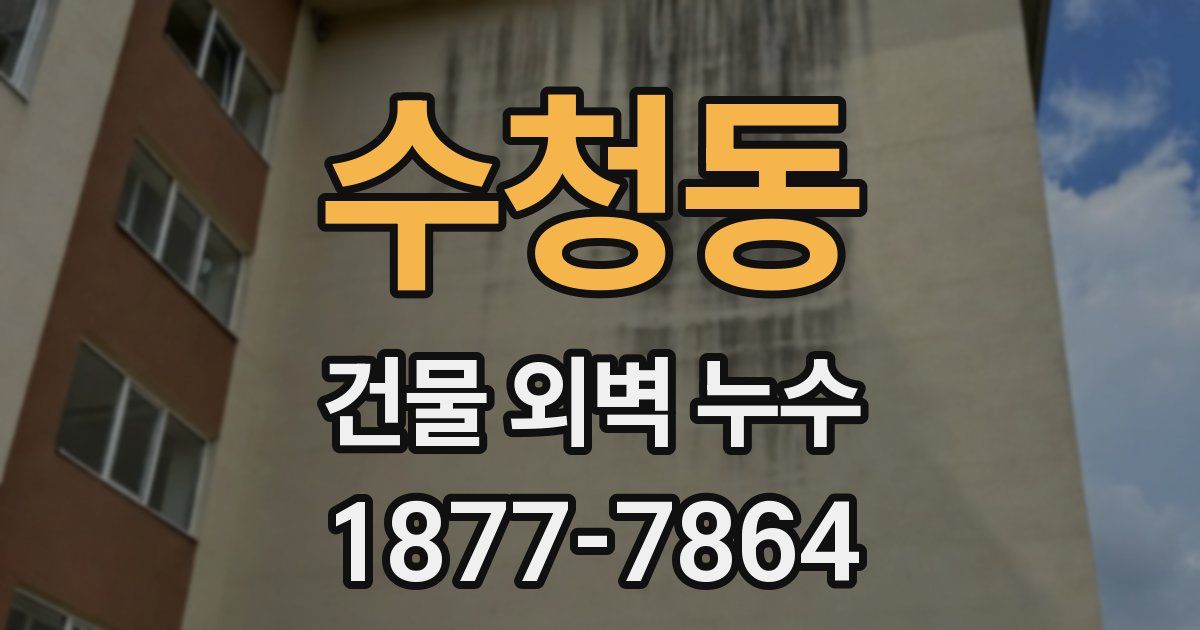 수청동 건물 외벽 누수