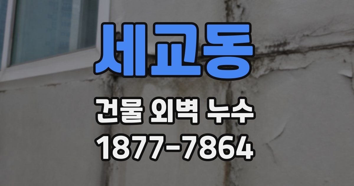 세교동 건물 외벽 누수