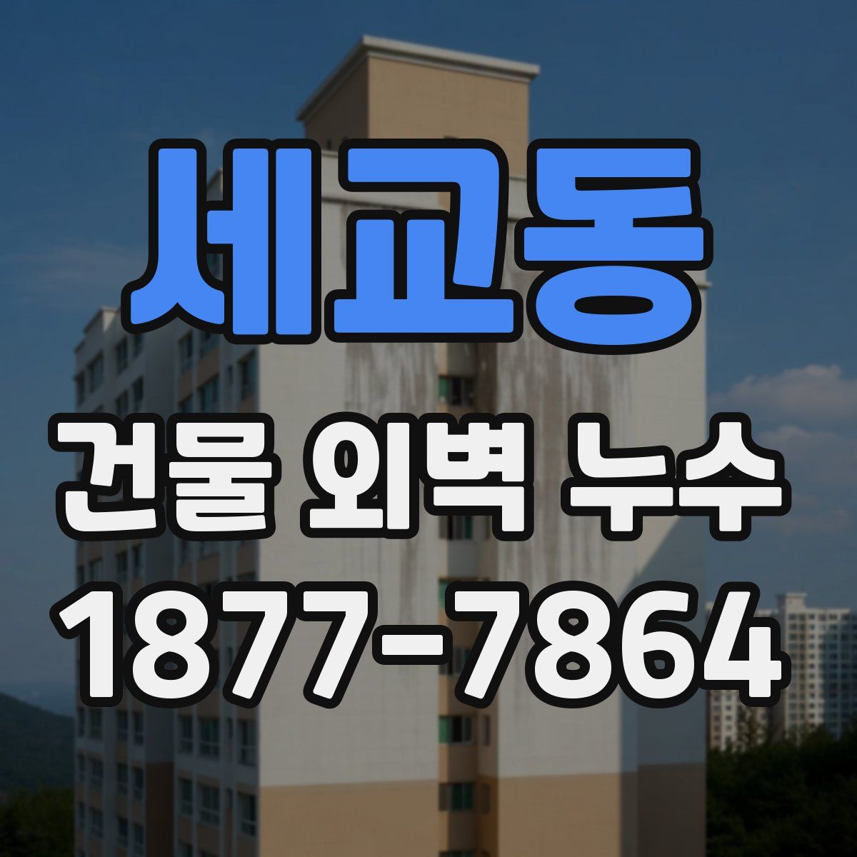 세교동 건물 외벽 누수