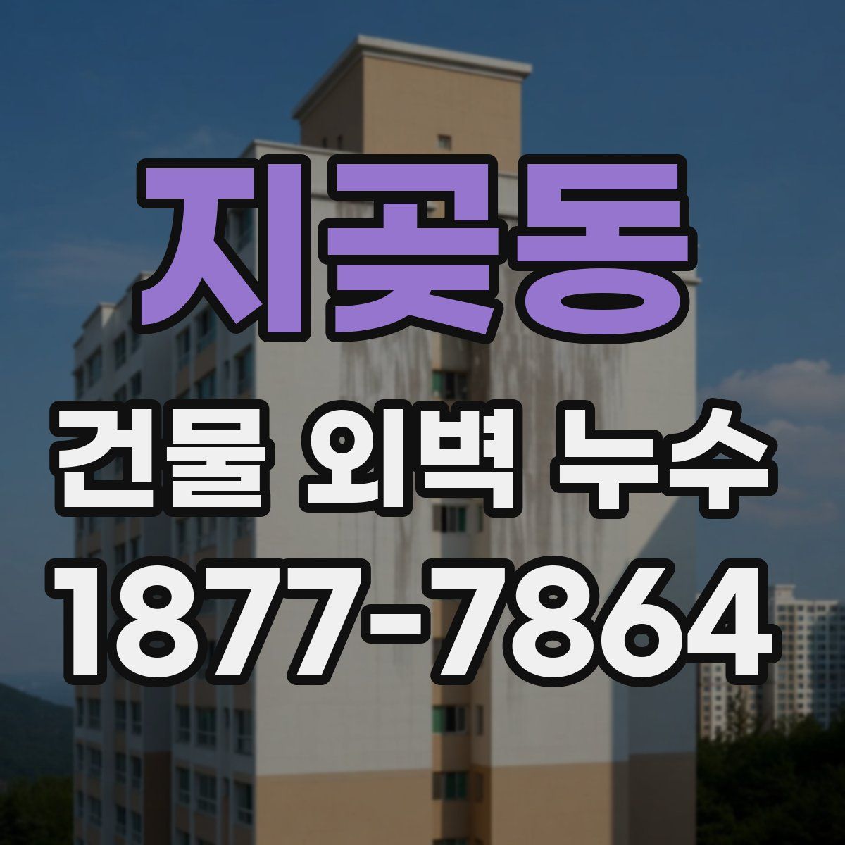 지곶동 건물 외벽 누수