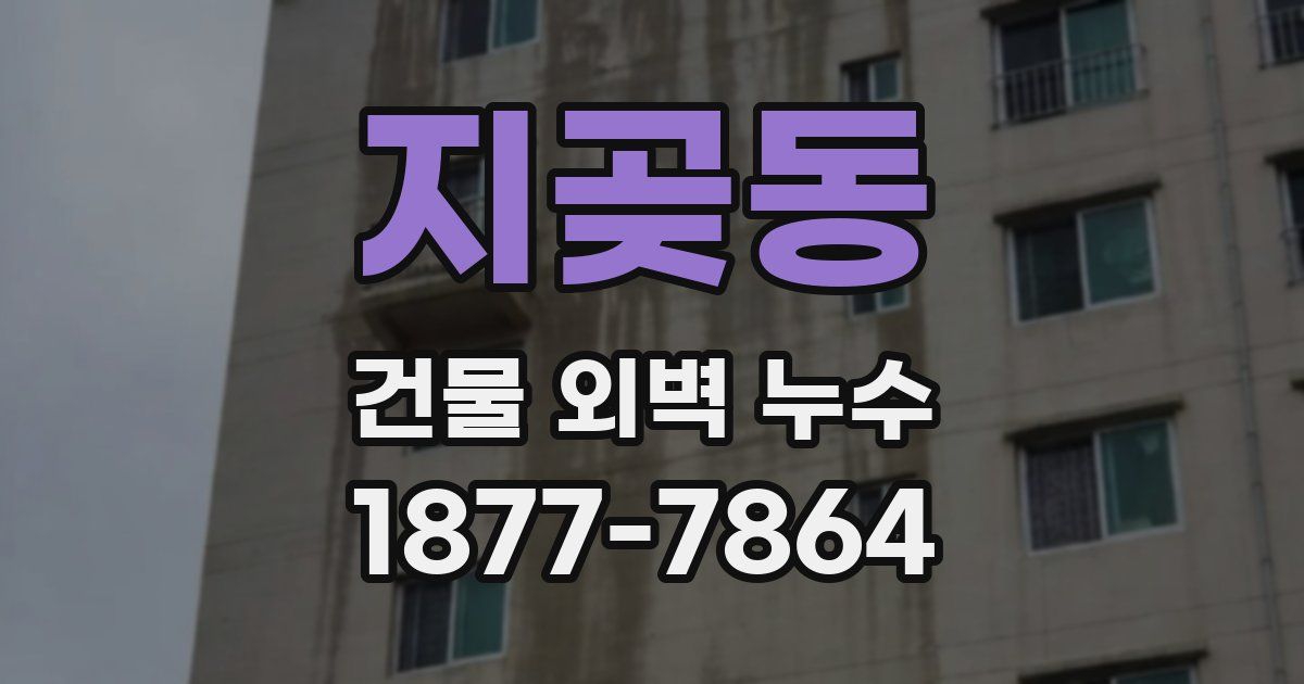 지곶동 건물 외벽 누수